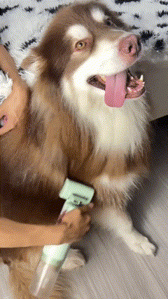 FurEase™